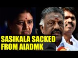 Sasikala sacked from AIADMK by Panneerselvam camp | oneindia News