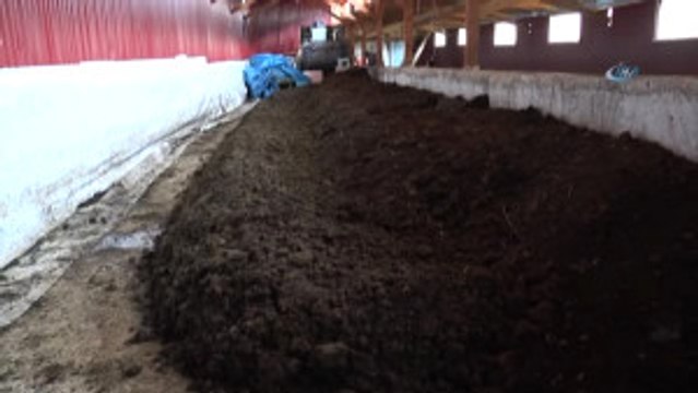 120 Bin Solucanla Başladı Bugün 15 Milyon Solucanı ile Organik Gübre Üretiyor