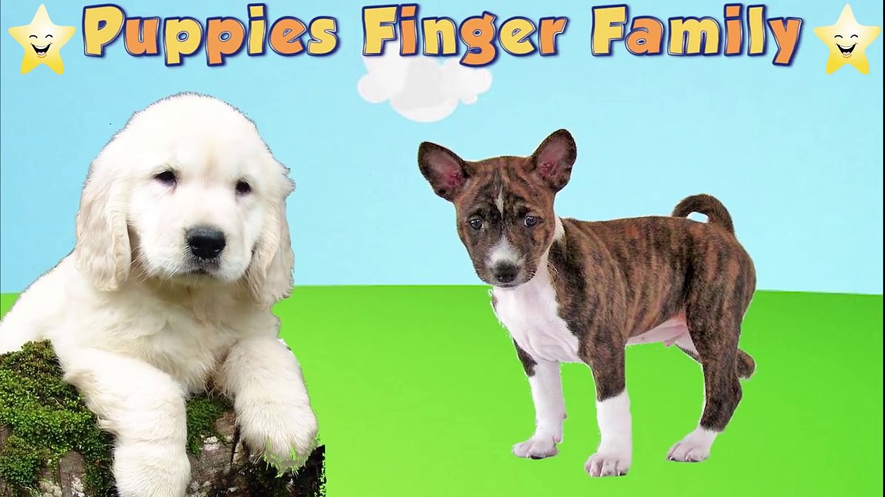 the dog finger family | nursery rhymes farmees | 3d rhymes | kids songs