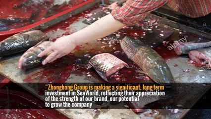 SeaWorld Stake, Long Held by Blackstone, Is Sold to Chinese Firm -