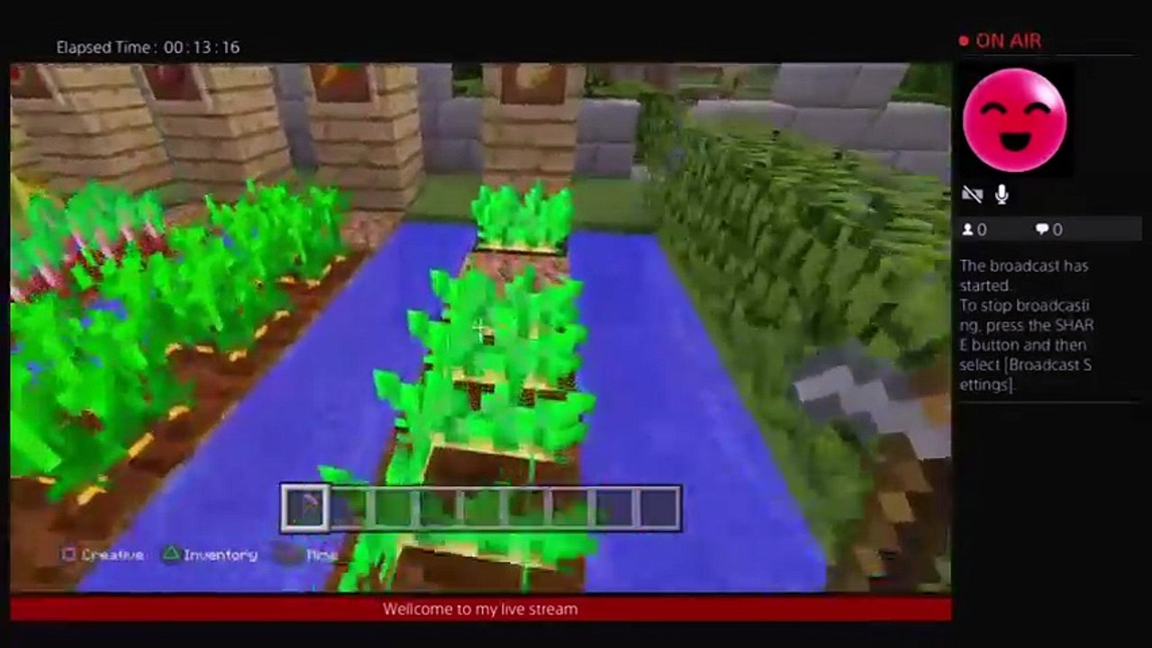 Minecraft (7)