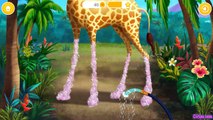 Baby Jungle Animal Hair Salon Educational App for Kids By Tutotoons
