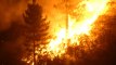 Un incendie dans le maquis blesse 5 pompiers en Corse