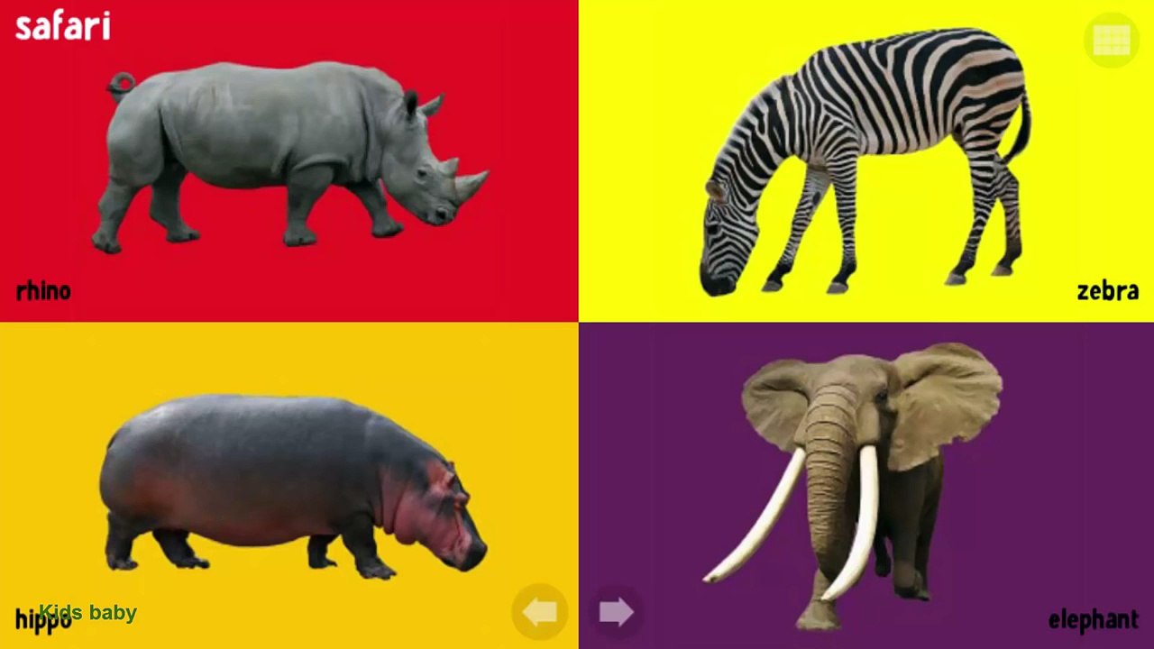 Wild Animals Learning | Bird Sounds and Name For Children - Handplaytv Learn English Kids