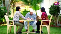Haseena Moin Ki Kahani Episode 28 - 25th March 2017