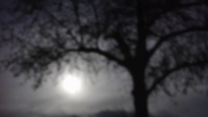 Daniel Darc - Seul sous la lune