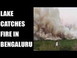 Bengaluru lake catches fire, resident choke due to smoke | Oneindia News