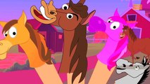 Horse Finger Family Nursery Rhymes For Kids Rhymes | Top Animals Cartoons Finger Family Co