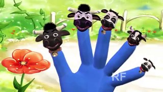 Cat Finger Family | nursery rhyme Farmees | kids songs | 3D rhymes | Children Song