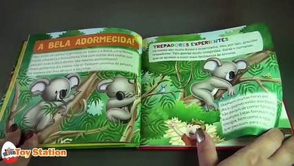 Животные Лучший Лучший видео YouTube RBA RBA