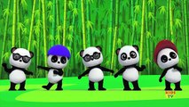 Baby Bao Panda | Five Little pandas | Nursery Rhymes | 3D Rhymes | Kids Songs