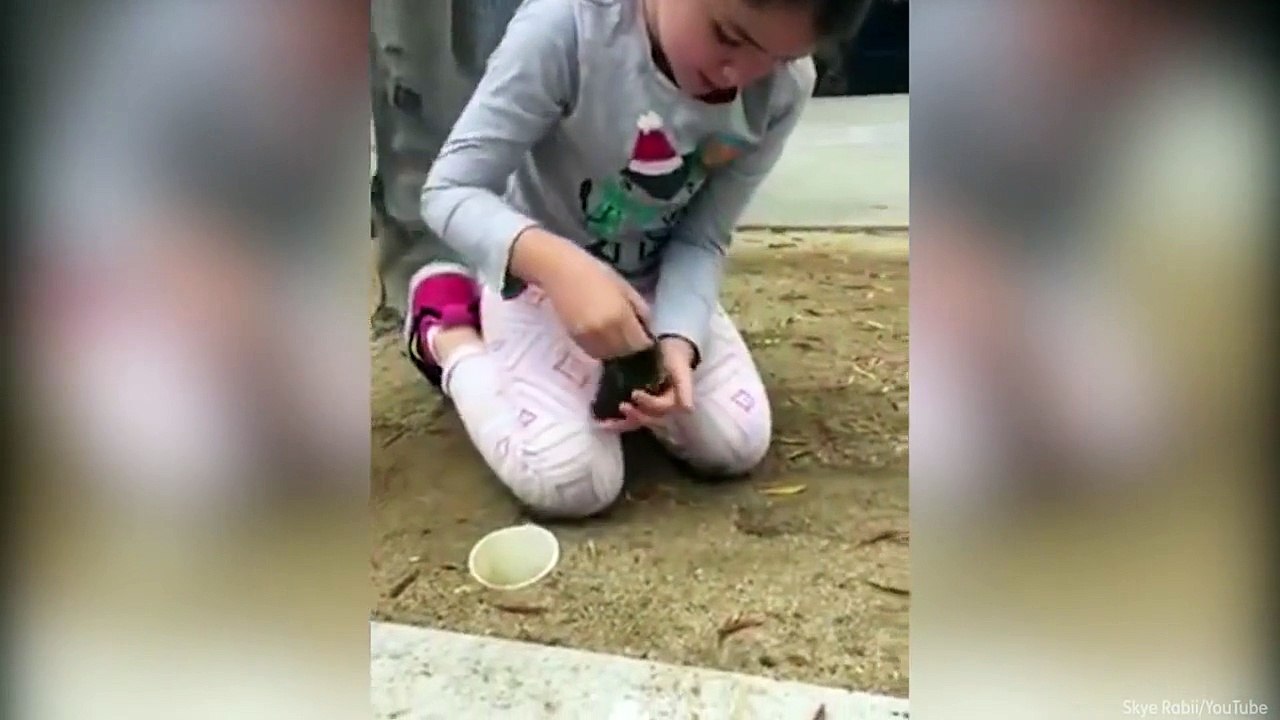 Cette fillette met son bras dans un trou. Regardez ce qui va en sortir, c'est incroyable !