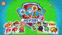 PAW Patrol Lollipop Finger Family PAW Patrol Nursery Rhymes Lyrics