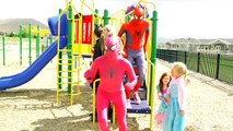 Spiderman & Frozen Elsas Magic Carpet Ride Catwoman Harley Quinn vs spiderman and pink sp