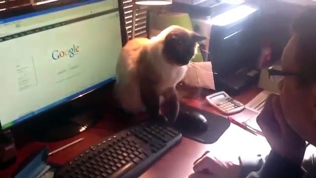 Finger weg... Das ist meine Maus! Lustige Bilder, Sprüche, W