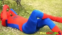 superhéroes de Ultimate spider man en la vida real de spiderman vs hulk superhéroes ultimate ¦ Mo