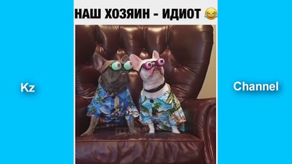 Best Dubsmash of subscribers # Little girls Dancing Meilleure vidéo वीडियो एशिया का सर्वश्रेष्ठ बेमिसाल छूट video วิดีโอ  آسيا أفضل من المشتركين ویڈیو ایشیا صارفین کے بہترین