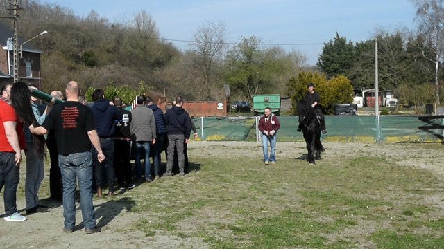 Ducasse de Mons 2017 : Le nouveau cheval, Condé, a rencontré le Dragon . Vidéo Eric Ghislain