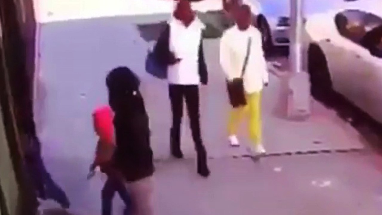 Une jeune femme essaie de protéger son chien de l'attaque d'un chat