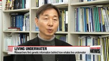Korean researchers find genetic information behind how whales live underwater