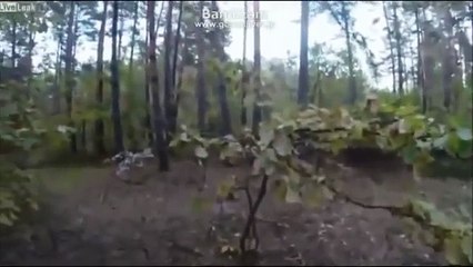 【閲覧注意】自転車移動中、巨大熊が追いかけてきた結果・・