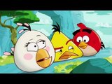 Angry Birds Toons Bande Annonce du Dessin Animé (HD)