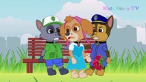 Paw Patrol Full Episodes - Paw Patrol Cartoon Nick Jr English - Animation Paw Patrol Playl