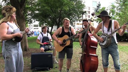 LED ZEPPELIN Black Dog Hillbilly Version by STEVE N SEAGULLS _ Metal Injection