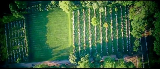 Florin Salam - Am trait o poveste [video2017]