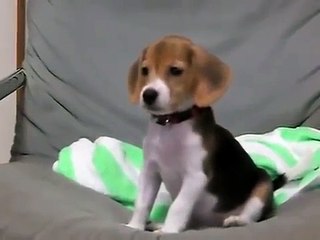 소액결제현금화 010↔9074↔5080 모바일전문 ㈜일성캐시 1등 class \\ 핸드폰소액결제현금화