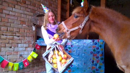 [horsegirlship 44] Happy Birthday Pedro 2017_Diashow