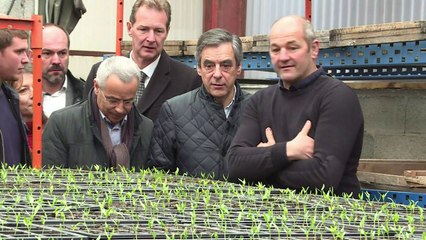 Accueil houleux pour Fillon dans une exploitation du Pays basque