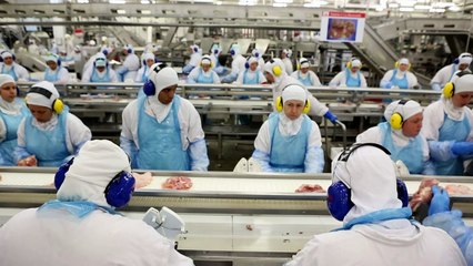 China e Chile vão voltar a importar carne brasileira