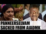 Panneerselvam expelled from AIADMK, Palaniswamy to lead party | Oneindia News