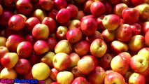 Apples Are Yummy - Learn Fruits & Vegetables, Kids Song for Babies & Toddlers Go vegan :-)