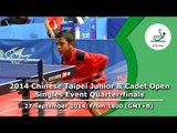 Table Tennis: 2014 Chinese Taipei Junior & Cadet Open (Singles Event Quarter-Finals)