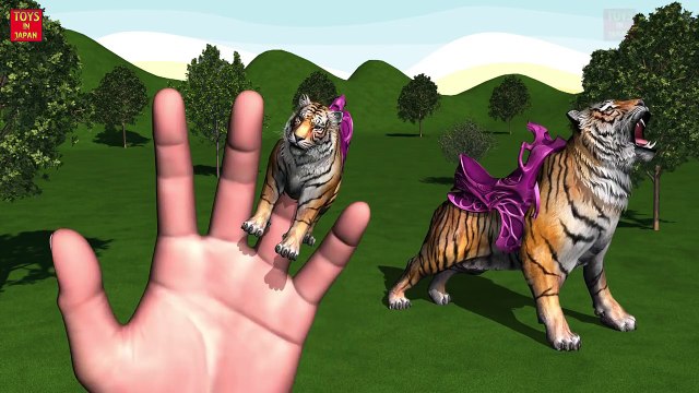 Lion,Tiger,Cheetah Finger Family 3d animals animated English rhymes Collection 2 hours vid