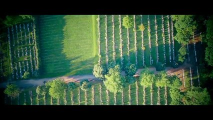 Florin Salam - Am trait o poveste  HIT 2017