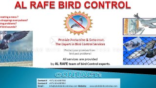 how to do Air riffle pigeon, starling pest control 6 7 8 & 9 part