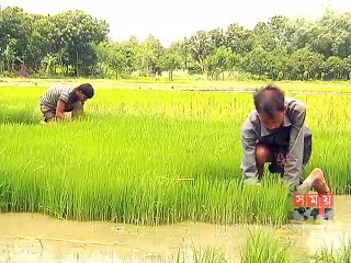 মহান স্বাধীনতার ৪৭তম বর্ষে পদার্পণ করলো বাংলাদেশ