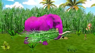 Животные седло цвета динозавры слон Семья палец лев питомник рифмы против |