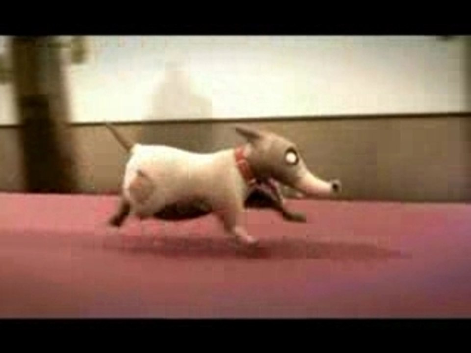 Doggy Bag