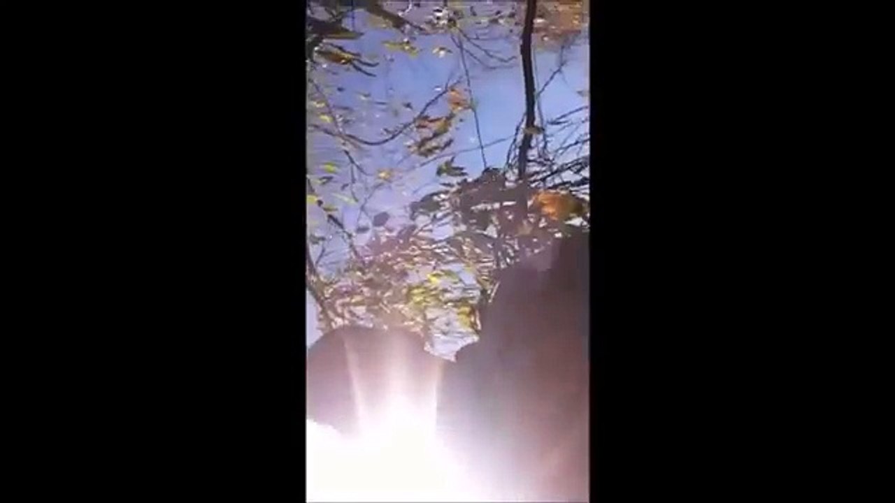 If u aint got no search warrant u aint searching the house-Gz78Y28AjIg