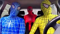 Spiderman Dancing in a Car w/ Blue Spiderman & Spidergirl in Real Life - Fun Superheroes M