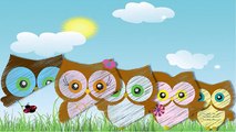 Owl animal finger family | Finger family song 2d animation | Nursery rhymes & songs for ch