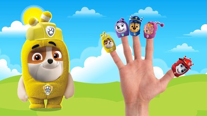 Paw Patrol Transform into Oddbods, Finger Family Nursery Rhymes, Baby Song, 毛毛頭, Fun Video