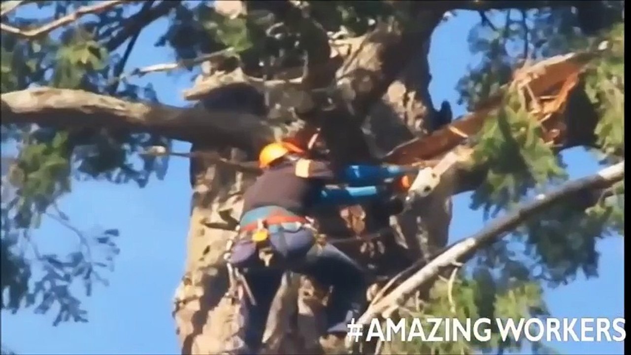 Bakat Orang Luar Biasa di Dunia #2 - Kompilasi Skill Mengagumkan