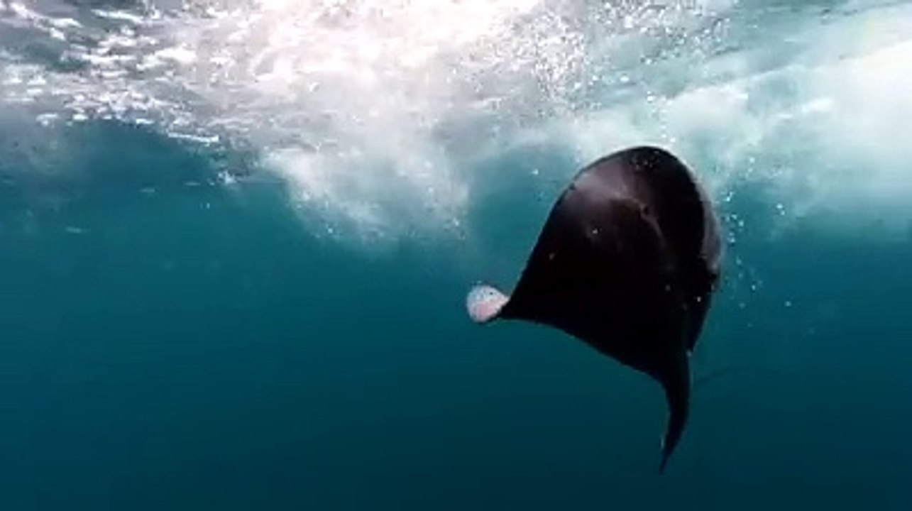 Weeeee