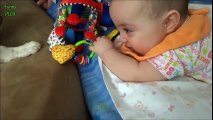 Puppies and Babies Playing Together Compilation 2014_HIGH