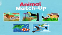 Play Animal Match Up
